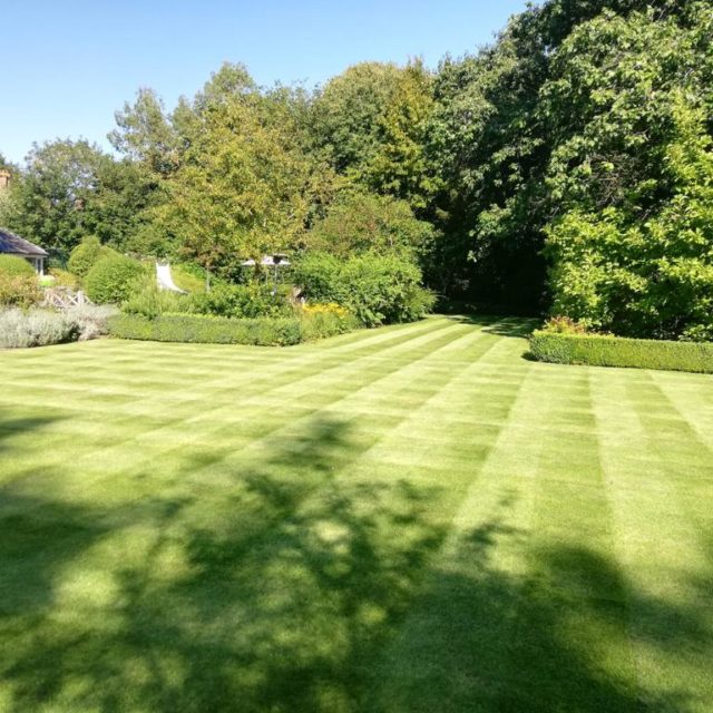 An example Lawn Care image