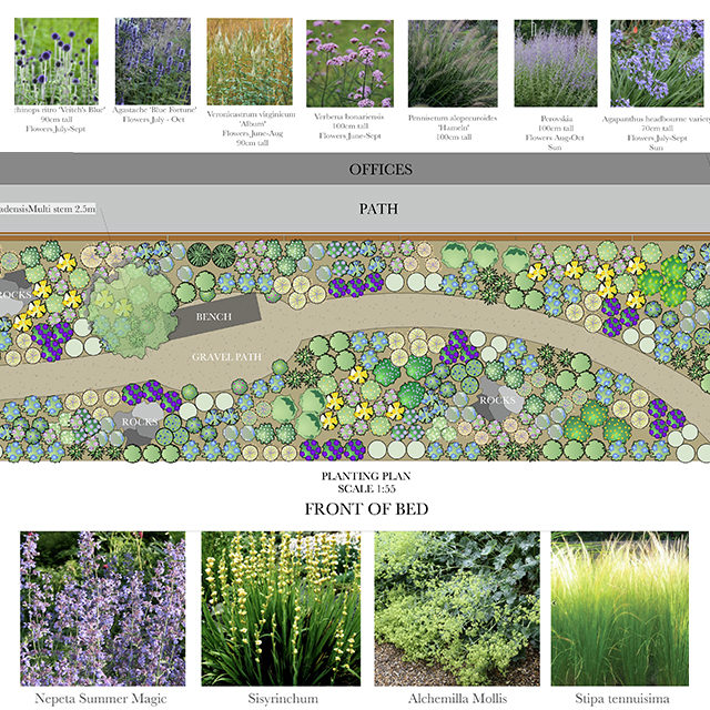 An example Garden Design & Build image