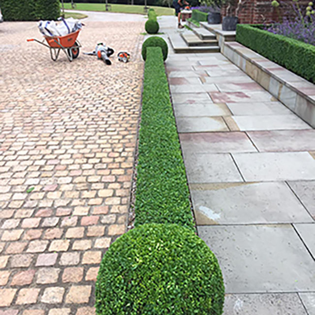 An example Garden Maintenance image
